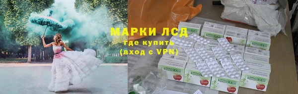 ПСИЛОЦИБИНОВЫЕ ГРИБЫ Богданович