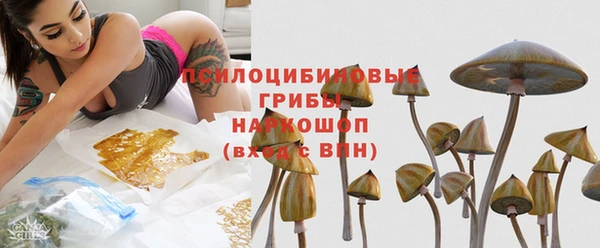 твердый Пролетарск