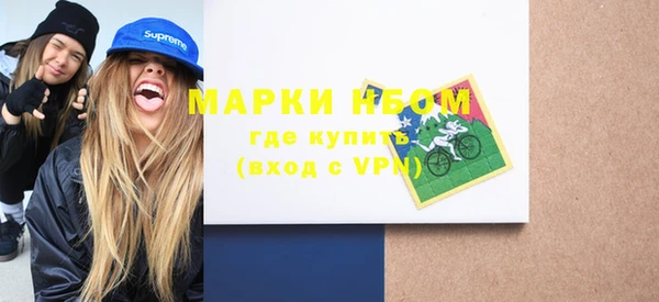 ПСИЛОЦИБИНОВЫЕ ГРИБЫ Богданович