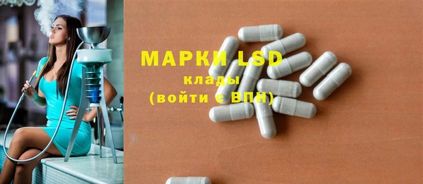 ПСИЛОЦИБИНОВЫЕ ГРИБЫ Богданович