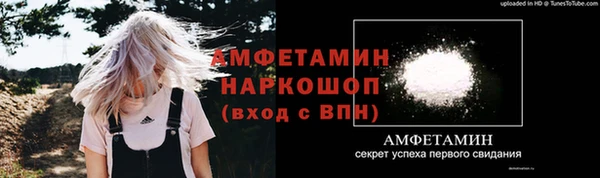 ПСИЛОЦИБИНОВЫЕ ГРИБЫ Богданович