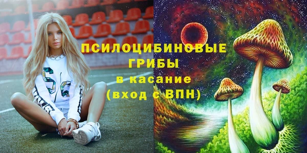 ПСИЛОЦИБИНОВЫЕ ГРИБЫ Богданович