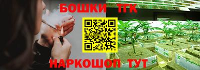 гидропоника Гусь-Хрустальный