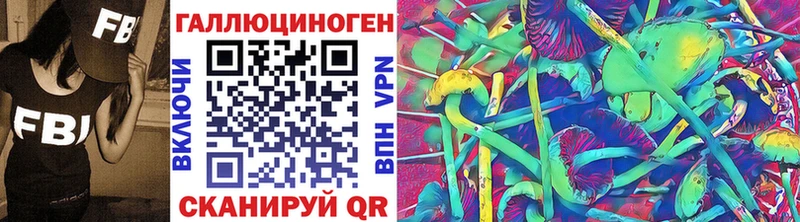 kraken сайт darknet телеграм Галлюциногенные грибы Psilocybe Надым