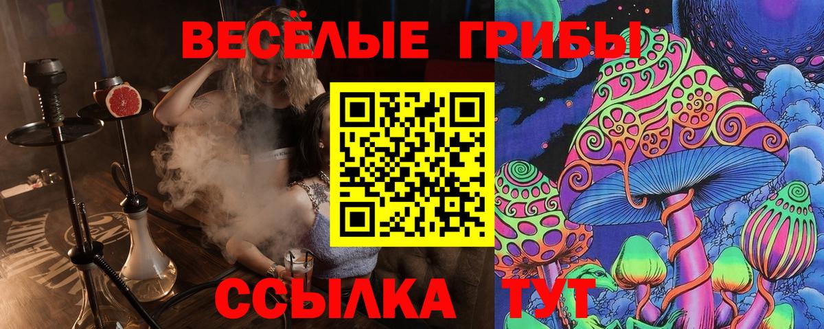 Галлюциногенные грибы ЛСД Надым